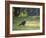 A Crested Caracara, Caracara Plancus, in Ibirapuera Park-Alex Saberi-Framed Photographic Print