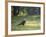 A Crested Caracara, Caracara Plancus, in Ibirapuera Park-Alex Saberi-Framed Photographic Print