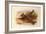 A Crested Lark, British Birds-Archibald Thorburn-Framed Giclee Print