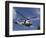 A Crew Chief Looks Out the Side Door of a Helicopter in Flight-null-Framed Photographic Print