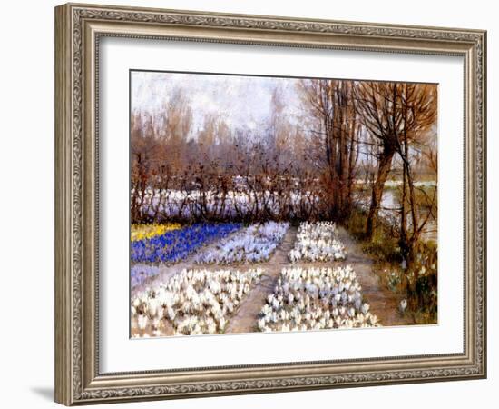 A Crocus Field in Spring, C.1889-George Hitchcock-Framed Giclee Print