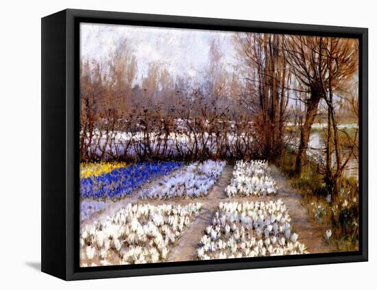 A Crocus Field in Spring, C.1889-George Hitchcock-Framed Premier Image Canvas