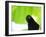 A Crow Stares at the Camera with Great Curiosity-Alex Saberi-Framed Photographic Print