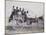 A Crowded Wagon Drawn by a Mule, Palermo, Sicily, c.1880-Giorgio Sommer-Mounted Giclee Print