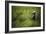 A Cub Stands When Startled By A River Otter Near The Coast Of Lake Clark National Park In Alaska-Jay Goodrich-Framed Premium Photographic Print