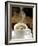 A Cup of Coffee-Herbert Lehmann-Framed Photographic Print