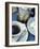 A Cup of Espresso, Sugar Cubes and Espresso Pot-Véronique Leplat-Framed Photographic Print