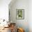 A curious adult giant river otter (Pteronura brasiliensis), on the Rio Nego, Mato Grosso, Pantanal-Michael Nolan-Framed Photographic Print displayed on a wall