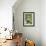 A curious adult giant river otter (Pteronura brasiliensis), on the Rio Nego, Mato Grosso, Pantanal-Michael Nolan-Framed Photographic Print displayed on a wall