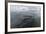 A Curious Antarctic Minke Whale (Balaenoptera Bonaerensis)-Michael Nolan-Framed Photographic Print