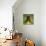 A Curious Entrance-Atelier Sommerland-Art Print displayed on a wall