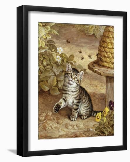 A Curious Kitten-Frank Paton-Framed Giclee Print