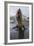 A Curious Young Antarctic Fur Seal (Arctocephalus Gazella), South Georgia, Polar Regions-Michael Nolan-Framed Photographic Print