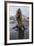 A Curious Young Antarctic Fur Seal (Arctocephalus Gazella), South Georgia, Polar Regions-Michael Nolan-Framed Photographic Print