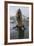 A Curious Young Antarctic Fur Seal (Arctocephalus Gazella), South Georgia, Polar Regions-Michael Nolan-Framed Photographic Print