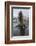 A Curious Young Antarctic Fur Seal (Arctocephalus Gazella), South Georgia, Polar Regions-Michael Nolan-Framed Photographic Print