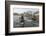 A Curious Young Antarctic Fur Seal (Arctocephalus Gazella), South Georgia, Polar Regions-Michael Nolan-Framed Photographic Print