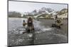 A Curious Young Antarctic Fur Seal (Arctocephalus Gazella), South Georgia, Polar Regions-Michael Nolan-Mounted Photographic Print