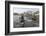 A Curious Young Antarctic Fur Seal (Arctocephalus Gazella), South Georgia, Polar Regions-Michael Nolan-Framed Photographic Print