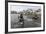 A Curious Young Antarctic Fur Seal (Arctocephalus Gazella), South Georgia, Polar Regions-Michael Nolan-Framed Photographic Print