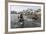 A Curious Young Antarctic Fur Seal (Arctocephalus Gazella), South Georgia, Polar Regions-Michael Nolan-Framed Photographic Print