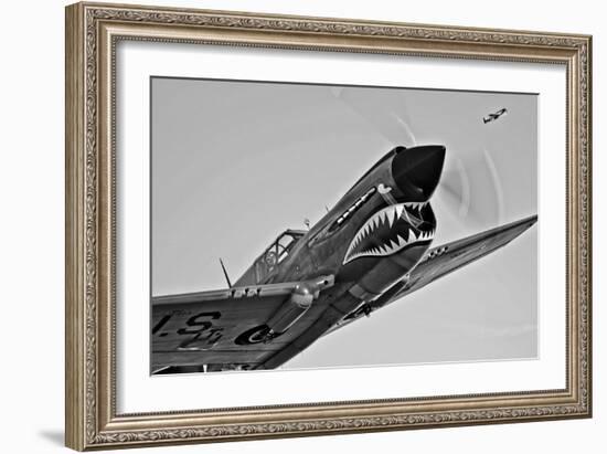 A Curtiss P-40E Warhawk in Flight Near Chino, California-null-Framed Photographic Print