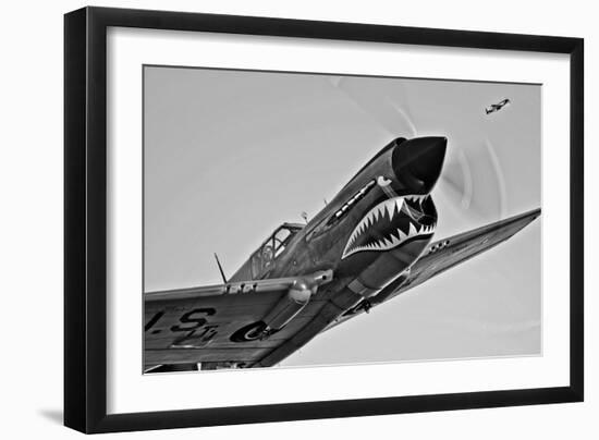 A Curtiss P-40E Warhawk in Flight Near Chino, California-null-Framed Photographic Print