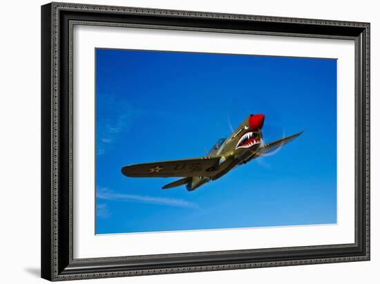 A Curtiss P-40E Warhawk in Flight Near Chino, California-null-Framed Photographic Print