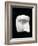 A Cut Out of a Sculpture Including a Man's Face-Winfred Evers-Framed Photographic Print