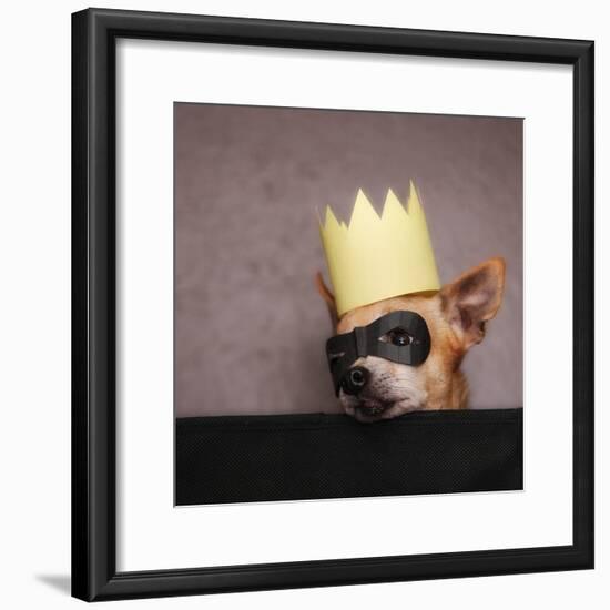 A Cute Chihuahua With A Crown And Mask On-graphicphoto-Framed Photographic Print