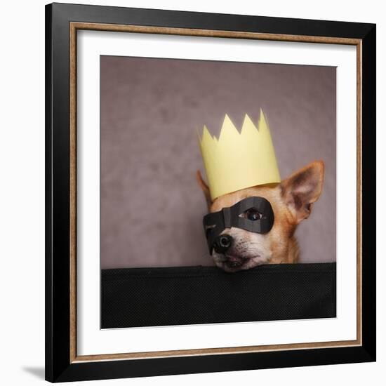 A Cute Chihuahua With A Crown And Mask On-graphicphoto-Framed Photographic Print