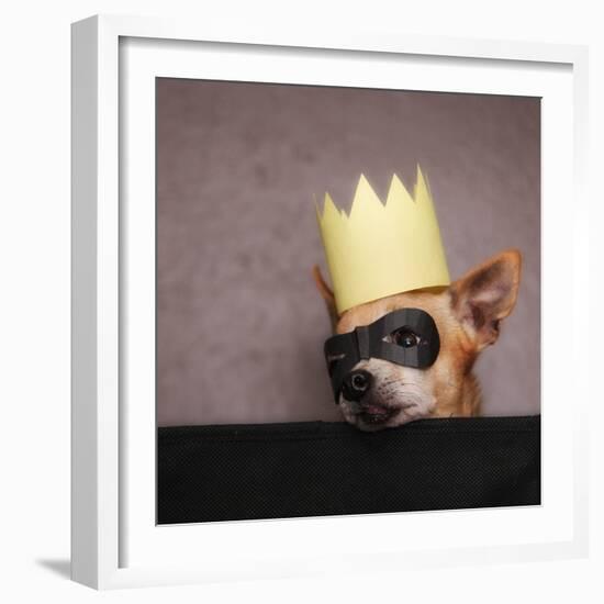 A Cute Chihuahua With A Crown And Mask On-graphicphoto-Framed Photographic Print