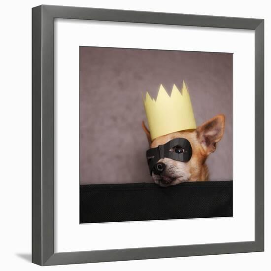 A Cute Chihuahua With A Crown And Mask On-graphicphoto-Framed Photographic Print