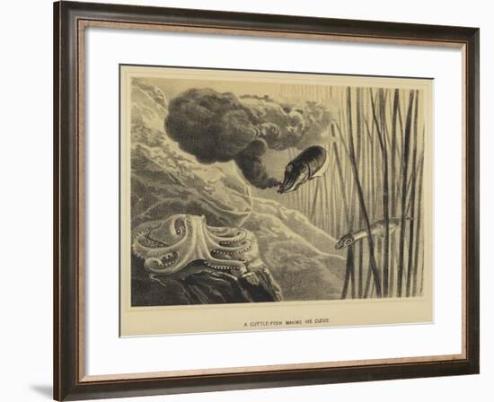 A Cuttle-Fish Making His Cloud-null-Framed Giclee Print