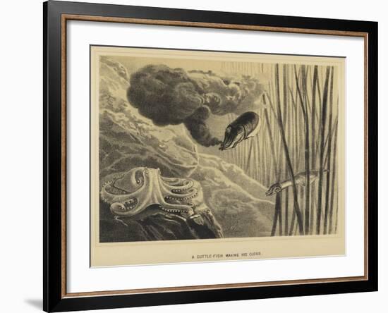 A Cuttle-Fish Making His Cloud-null-Framed Giclee Print