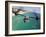 A CV-22 Osprey Aircraft Flies Over Florida's Emerald Coast-Stocktrek Images-Framed Photographic Print