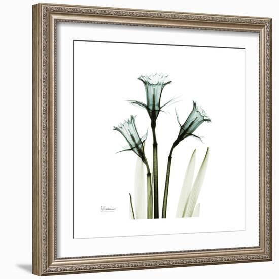 A Daffodil Day-Albert Koetsier-Framed Premium Giclee Print