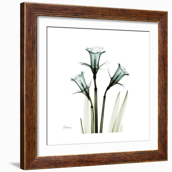 A Daffodil Day-Albert Koetsier-Framed Premium Giclee Print
