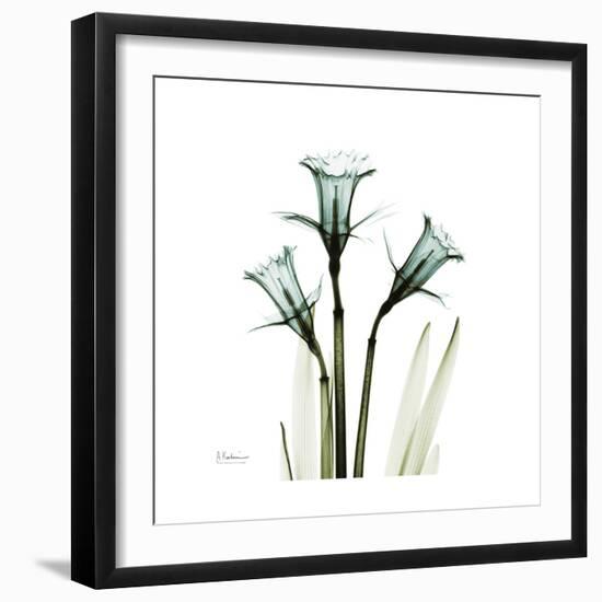 A Daffodil Day-Albert Koetsier-Framed Premium Giclee Print