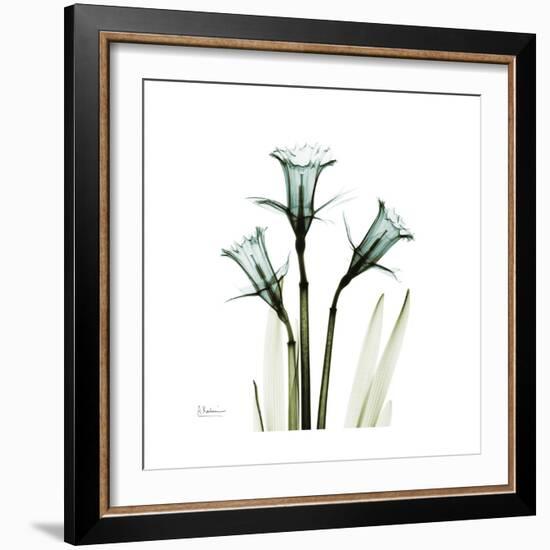 A Daffodil Day-Albert Koetsier-Framed Premium Giclee Print