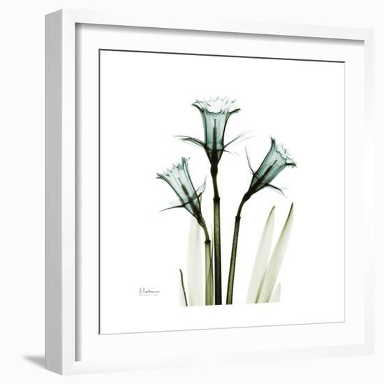 A Daffodil Day-Albert Koetsier-Framed Premium Giclee Print