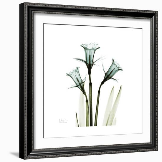 A Daffodil Day-Albert Koetsier-Framed Premium Giclee Print