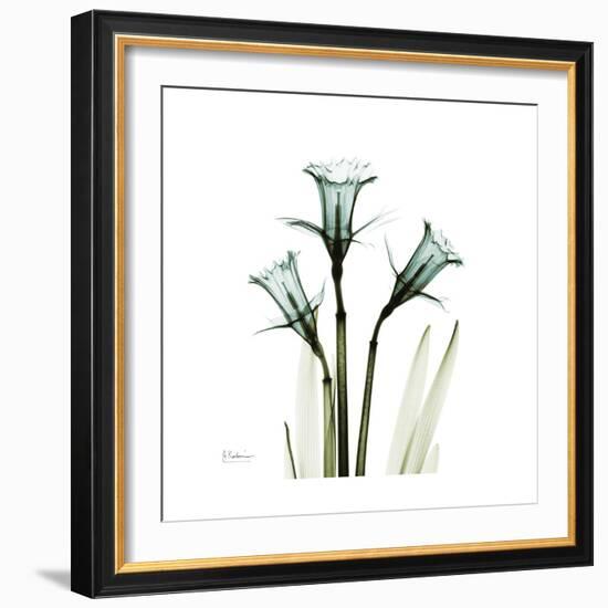 A Daffodil Day-Albert Koetsier-Framed Premium Giclee Print