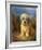 A Dandie Dinmont-Lilian Cheviot-Framed Giclee Print