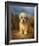 A Dandie Dinmont-Lilian Cheviot-Framed Giclee Print