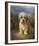 A Dandie Dinmont-Lilian Cheviot-Framed Giclee Print