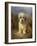 A Dandie Dinmont-Lilian Cheviot-Framed Giclee Print