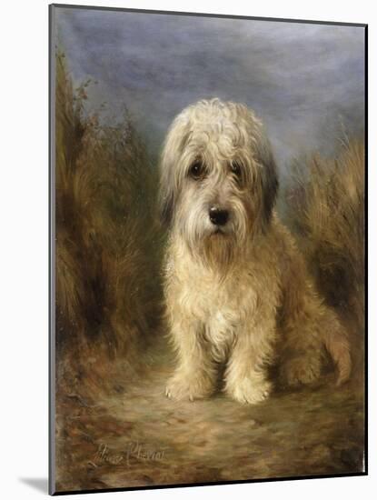 A Dandie Dinmont-Lilian Cheviot-Mounted Giclee Print