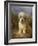 A Dandie Dinmont-Lilian Cheviot-Framed Giclee Print