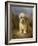 A Dandie Dinmont-Lilian Cheviot-Framed Giclee Print